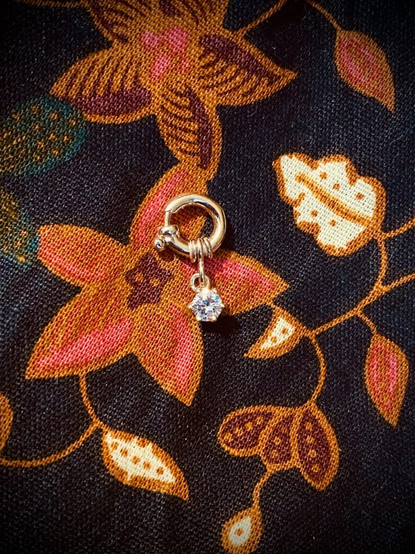 Diamond Spring Ring Charm - Afbeelding 2