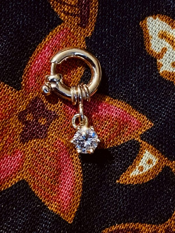Diamond Spring Ring Charm - Afbeelding 6